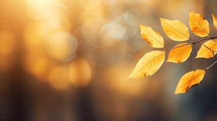 Beautiful blurred autumn background with yellow-gold leaves in the rays of sunlight on a dark natural background.