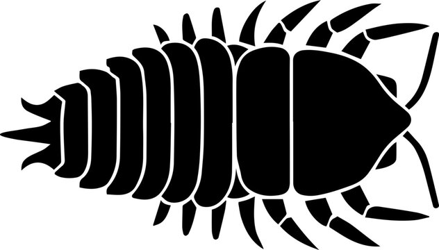 giant isopod icon 6