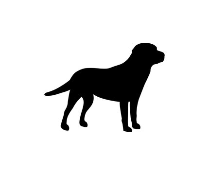 Labrador Retriever dog logo design. Labrador Retriever silhouette vector design and illustration.
