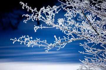 光り輝く霧氷の枝からはらりと落ちる霧氷のの結晶7