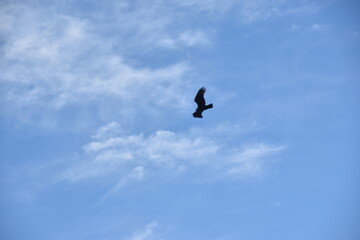 Cambar&aacute; do Sul - Rio Grande do Sul