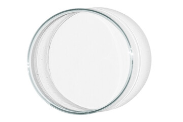 Petri dish isolated on empty background.