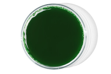 Petri dish isolated on empty background. Green liquid in a Petri dish.