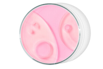 Petri dish isolated on empty background. Pink liquid in a Petri dish.