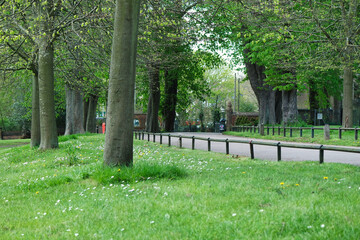 Low Angle View of Local Public Park