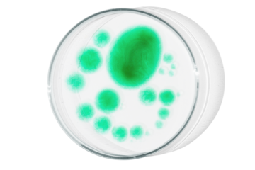Petri dish isolated on empty background. Green drops, streaks, bacteria and molecules in a Petri dish.