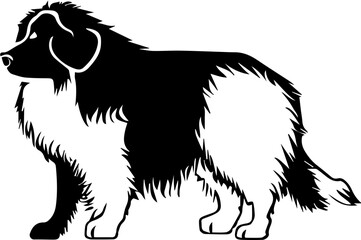 Great Pyrenees Mix icon 4