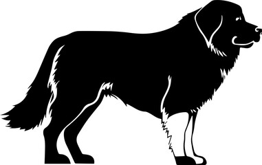 Great Pyrenees Mix icon 1