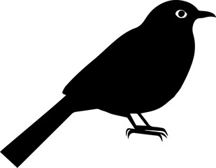 Gray Catbird icon 3
