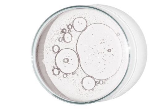 Petri dish isolated on empty background. drops, stains, bacteria and molecules in a Petri dish.
