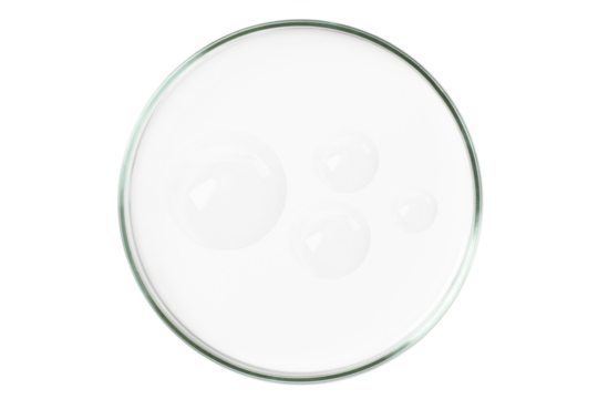 Petri dish isolated on empty background. A smear of a transparent gel, serum in a Petri dish.