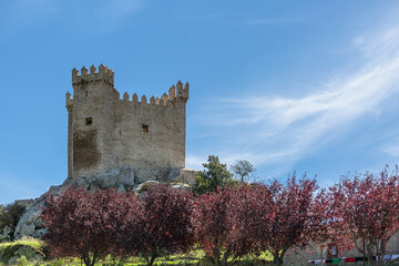 Panoramic exterior view at the iconic Penedono Castle,latera view, on Penedono village downtown, Viseu, Portugal - obrazy, fototapety, plakaty