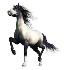 A blue roan is a color pattern in horses where the coat appears to have a mixture of white and black hairs, giving the horse an overall "blue" appearance. Here isolated on white.  3D Rendering