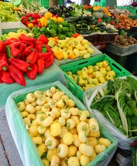 greengrocer in the fruit and vegetable market stall with sells peppers