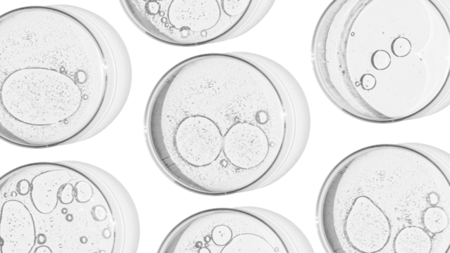 Rectangular banner with Petri dishes isolated. laboratory, research of molecules and bacreria and viruses. Can be pasted on your background