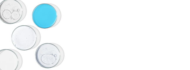Rectangular banner with Petri dishes isolated. laboratory, research of molecules and bacreria and viruses. Can be pasted on your background