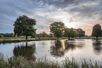 Dramatic mornings in autumn at Bushy Park ponds