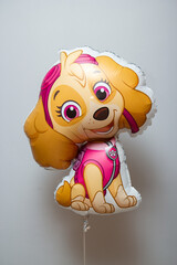 dog in pink dress balloon