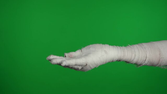 Detail green screen isolated chroma key video capturing mummy's hand showing in the frame, reaching and asking for help.