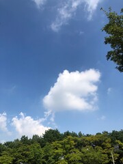 Obraz premium 구름