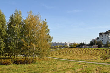 Fototapeta na wymiar Microdistrict Mitino and Mitino Landscape Park on golden autumn day. Moscow, Russia