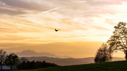 sunset in the mountains