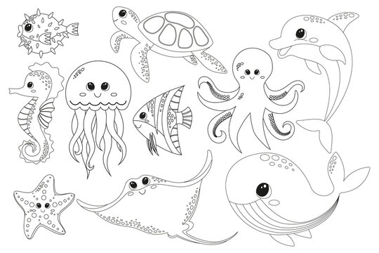 Coloring page with illustration cute happy sea animals for design element on white background. Dolphin, whale, octopus, jellyfish, stingray, starfish, seahorse, turtle, algae, water bulbs, puffer fish