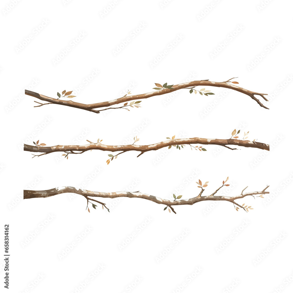 Wall mural tree branches collection set. isolated white background rustic arch watercolor design elements illus