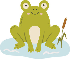 Frog animal vector, Abstract baby frog vector, frog baby animal, cute animal isolated, adorable frog for print, vector illustration