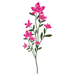 Naklejka na ściany i meble Pink Wild Flower and Plants