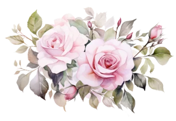 Fototapeten Rewrite: "Watercolor depiction of delicate pink roses and leafy foliage with a transparent background in PNG format." © wiizii