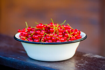 Fresh ripe red currant berries. Healthy food.