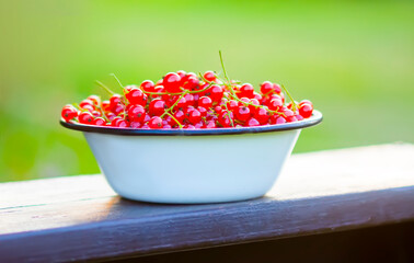 Fresh ripe red currant berries. Healthy food.