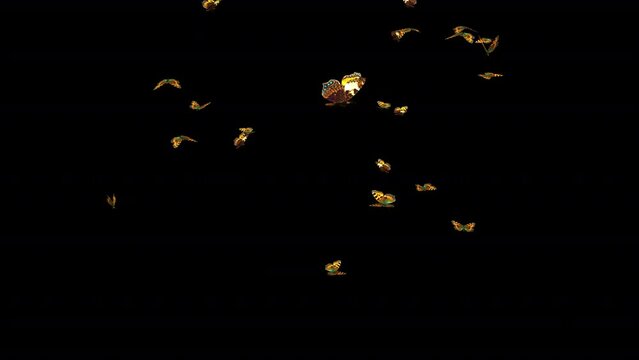 Tortoise Shell Butterflies - Swarm Flying Around Screen - MS - Realistic 3D animation loop with alpha channel on transparent background