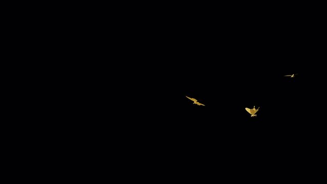 3 Golden Butterflies - Three Flying Around Loop - MS - Realistic 3D animation effect with alpha channel on transparent background