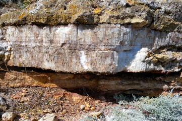 A thick layer of calcite crystals in the coastal limestone cliff of the steep coast of the Black Sea, Tyulenovo village area in Bulgaria