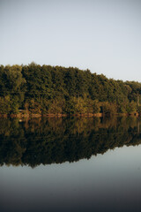 Fototapeta premium trees reflected in water
