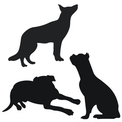 Sketch image of black silhouette dogs, outline of pets. Go, standing, sitting, lying, lie, running, jumping, training, walking, guarding, posing, play, showing