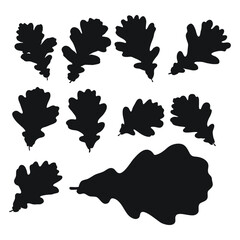 Set of vector silhouettes of a black shape of oak leaves