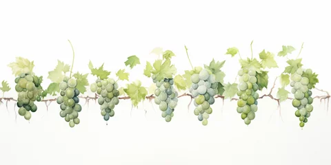 Fotobehang Watercolour Collection   No1   Homegrown Grape Wine Products Made at Eco Sustainable Farm:  Red Pink, White, Green, Grapes, Cheese, Grapes in Hands, Glass of Wine, Leaves, Grapes in Basket, Vineyard. © PEPPERPOT