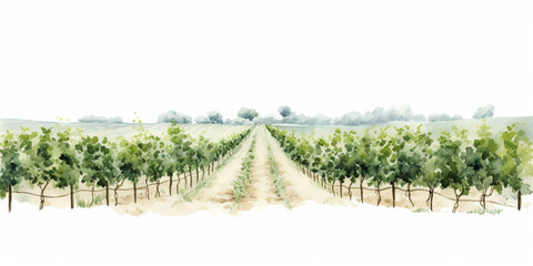 Watercolour Collection { No1 } Homegrown Grape Wine Products Made at Eco Sustainable Farm:  Red Pink, White, Green, Grapes, Cheese, Grapes in Hands, Glass of Wine, Leaves, Grapes in Basket, Vineyard.