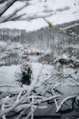 frozen lake in winter