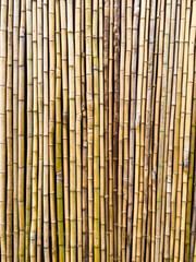 Bamboo fence wall texture background ecology construction. Natural brown bamboo plank fence texture for background.