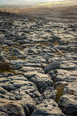 stone desert sufrace