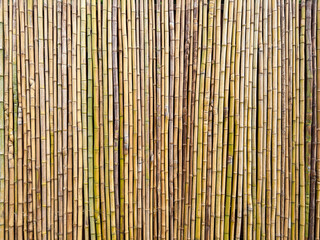 Bamboo fence wall texture background ecology construction. Natural brown bamboo plank fence texture for background.