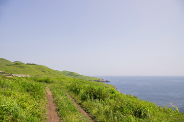The road along the sea coast on a summer day.