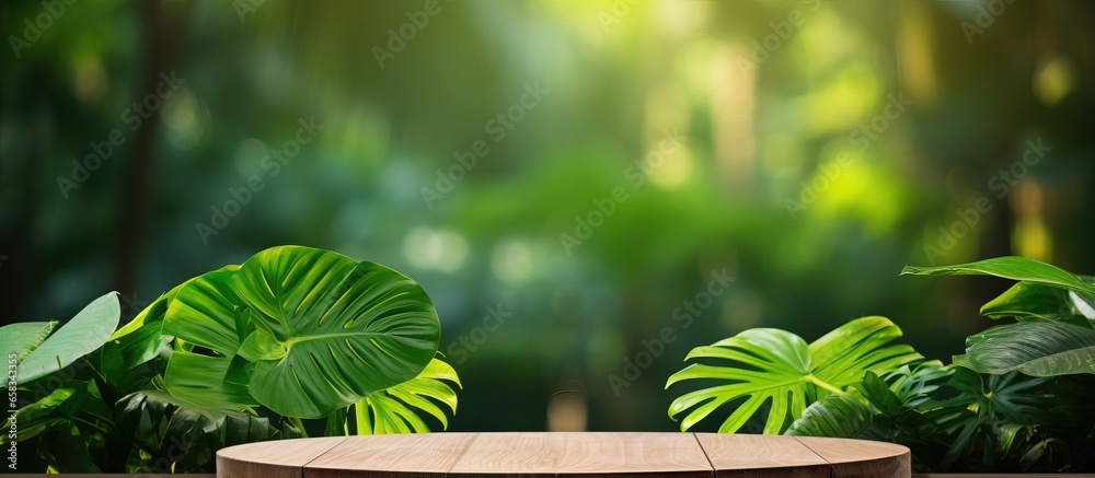 Poster Blurry green monstera plant on a wooden outdoor podium displaying a natural beauty product