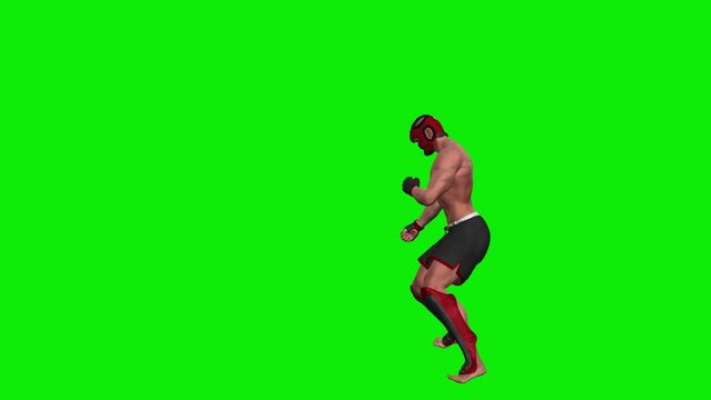 Martial Arts Fighter - Training Combo - III - Green Screen - Realistic 3D animation isolated on green background