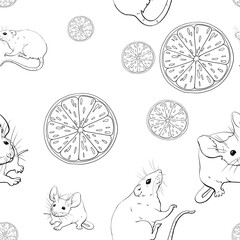 Mice, rats, oranges. Seamless pattern with graphic monochrome illustration. For printing wallpaper, fabric, packaging paper for pet stores, pet products and other products. Domestic and wild rodents.