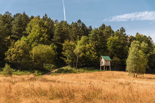 Bird Watching Hut on the Forest Edge in Serbia